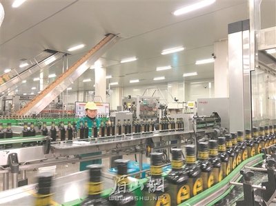 護航民營經(jīng)濟 眉山六大實招如何招招有力？——聚焦我市出臺《促進民營經(jīng)濟健康發(fā)展6個實施細則》一周年（下）