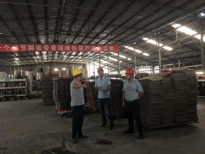 攀蓮鎮扎實開展安全生產隱患排查工作